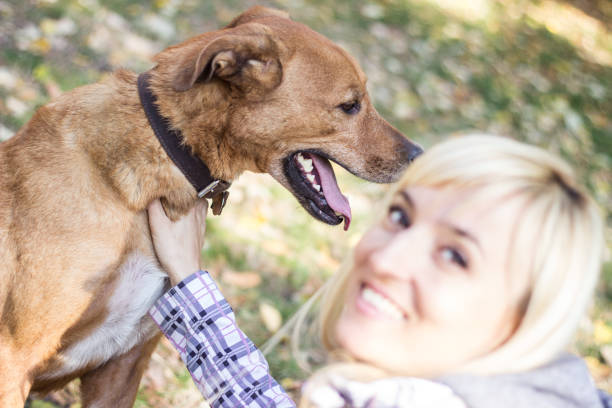 istock Young smiling woman spending time with her dog 1444143182