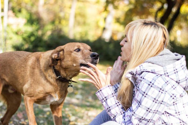 istock Young smiling woman spending time with her dog 1444143299