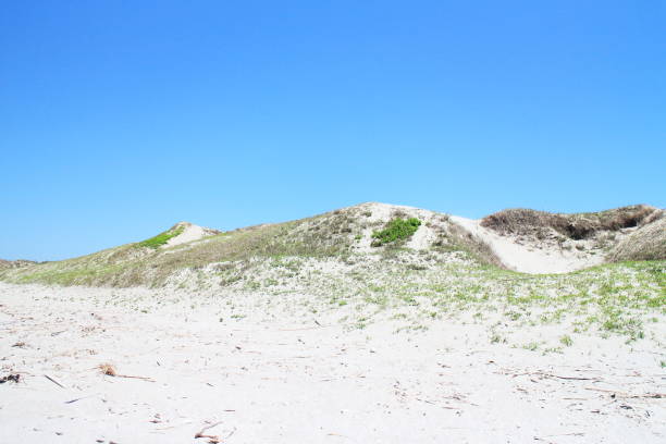istock The beautiful Fukiagehama sand dunes 1444145285