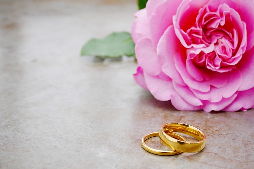 Wedding rings close up with large pink rose on metallic background with lots of copy space