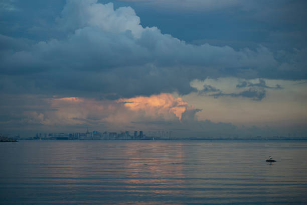 A view of Saint-Petersburg across the Neva Bay on summer dusk with a gulf sitting on the stone in the foreground, Saint-Petersburg, Russia