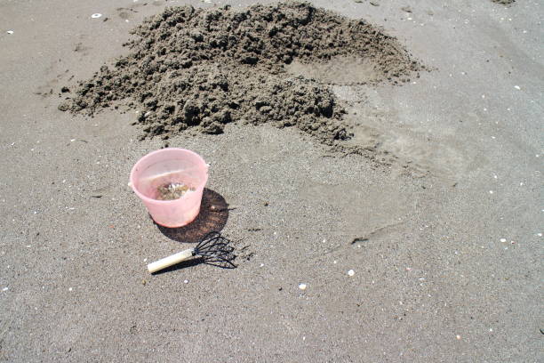 Scenery of enjoying clam digging on the sandy beach