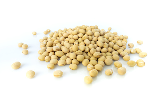 Dried soybean isolated on white background.\nFood and agriculture concepts.