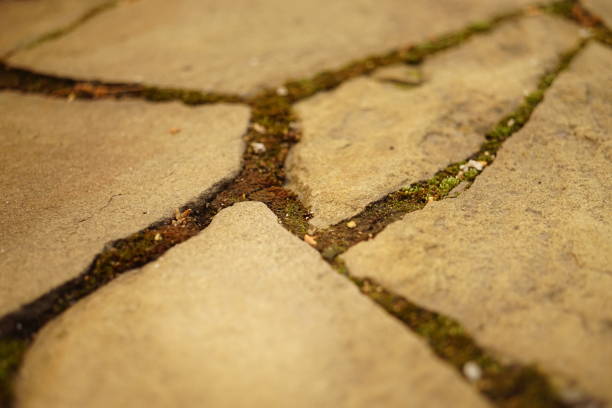 acera pavimentada hecha de piedra silvestre marrón con musgo. - seam horizontal full frame outdoors fotografías e imágenes de stock