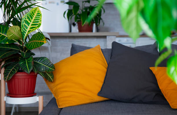 istock Beautiful and modern interior. A gray sofa with bright orange pillows and a background of monstera and croton plants on an original wooden stand 1444150636