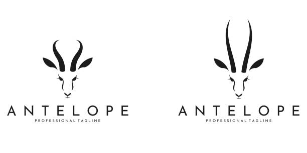 illustrations, cliparts, dessins animés et icônes de signe springbok antilope. de beaux animaux sur fond blanc - antilope