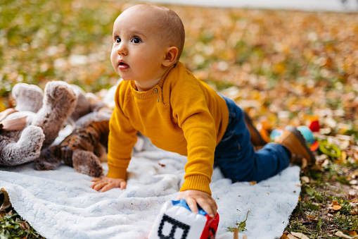 Cute baby boy sitting on autumn leaves in park in autumn.