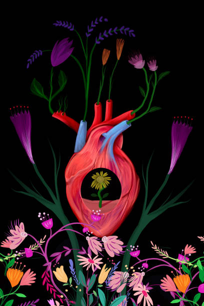 anatomiczne serce z kwiatami - flower anatomy stock illustrations