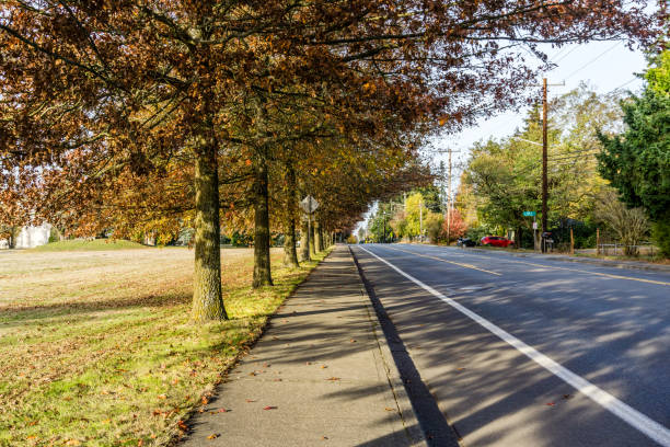 istock Seatac Streetside Autumn Trees 10 1444178793