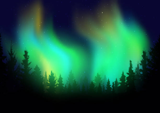 istock Silhouette of a tree landscape against a night sky with northen lights display 1444183120