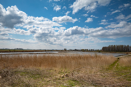 Het Kraaiennest nature reserve near De Lier, where meadow birds return in the spring from their winter quarters in the south. The lake can possibly be used as a temporary emergency water storage; Westland, Netherlands