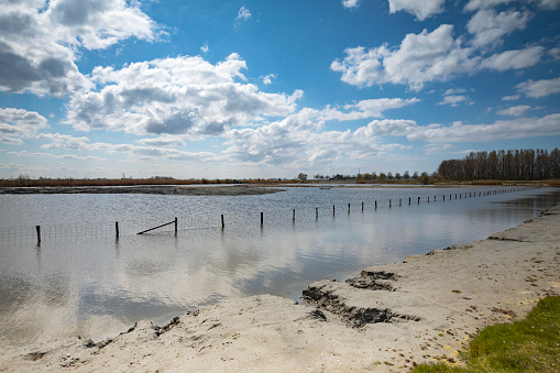 Het Kraaiennest nature reserve near De Lier, where meadow birds return in the spring from their winter quarters in the south. The lake can possibly be used as a temporary emergency water storage; Westland, Netherlands