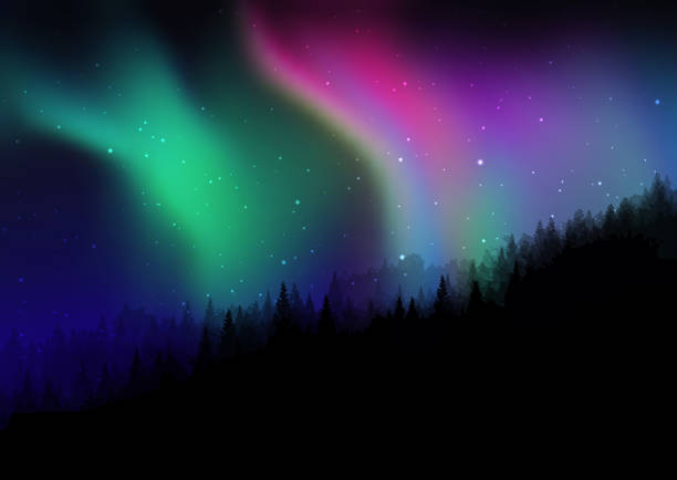 istock Silhouette of a pine tree landscape against a starry night sky with northern lights 1444184627
