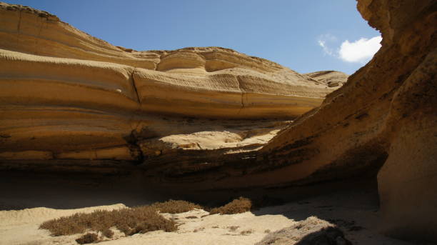 istock Salto del Gato in Playa Chorrillos 1444191412
