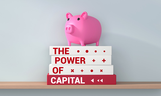 The Power Of Capital Books On The Shelf With Piggy Bank. Concept And Idea