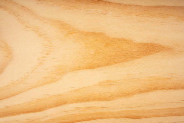 Beautiful wood grain. Wood background. Wood grain pattern texture background