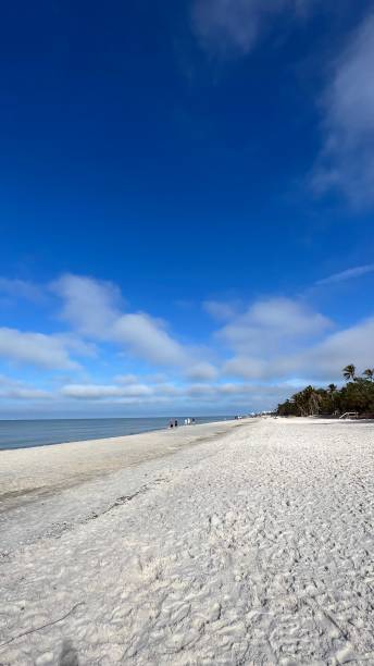 istock A GORGEOUS MORNING ON THE BEACH ON THANKSGIVING DAY 1444202560
