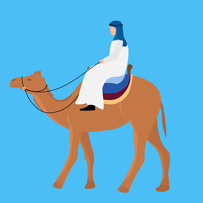 Camel carrying a bedouin isolated on blue background. Vector illustration.