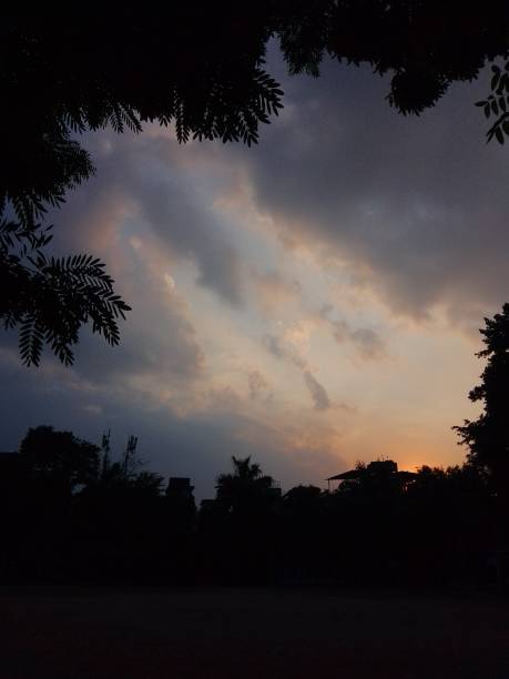 istock Sunset with moody sky, shot in a park, Kolkata 1444206363