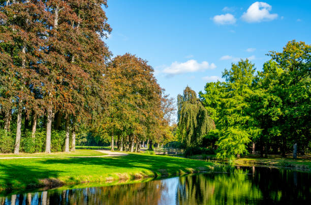 Nature landscape in the Netherlands