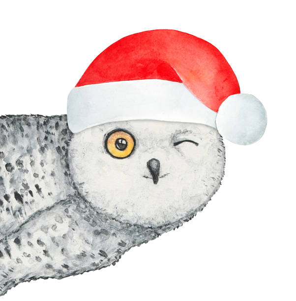 aquarellillustration einer kleinen zwinkernden schneeeule mit weihnachtsmannshut. - owl snowy owl snow isolated stock-grafiken, -clipart, -cartoons und -symbole