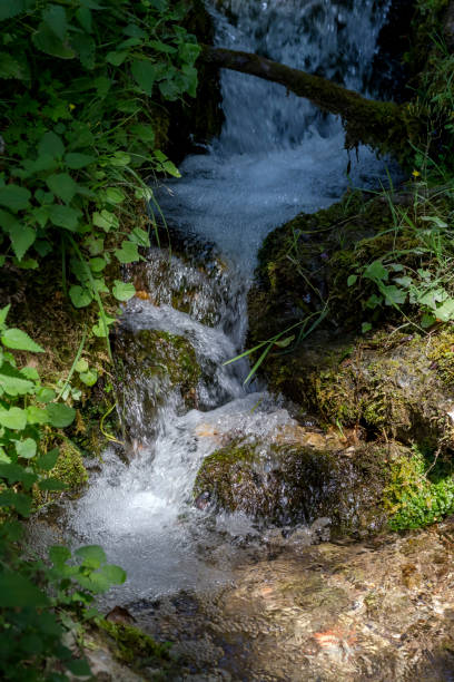 istock A small fast stream runs in the mountains (Central Greece) close-up 1444213238