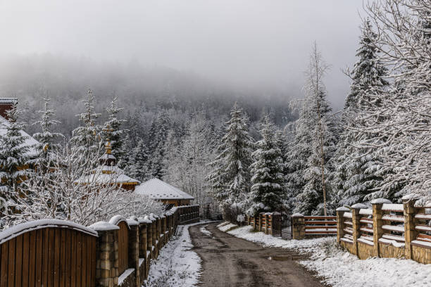 Snowy weather in the mountains. First snow