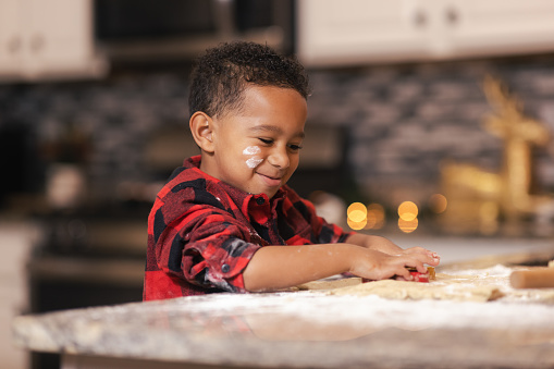 Four Year Old Making Holiday Cookies - Christmas - African American Black
4 Year Old
Black Father / White Mother