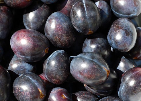 Closeup of recently picked plums in the sunshine.