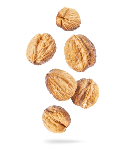 istock Walnuts close-up in the air on a white background 1444231951