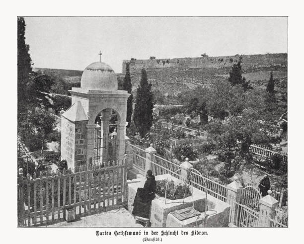 istock Garden of Gethsemane, Kidron Valley, Jerusalem, halftone print, published 1899 1444235421