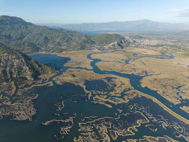 istock Aerial View of Dalyan Delta 1444235963