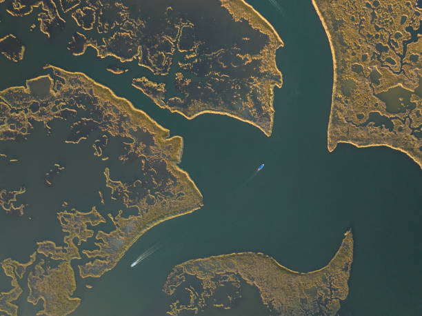 istock Aerial View of Dalyan Delta 1444238127