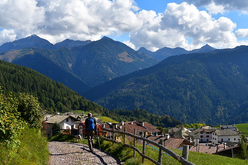 Mann und sein Lagotto Romagnolo Hund wandern bei Truden in Südtirol