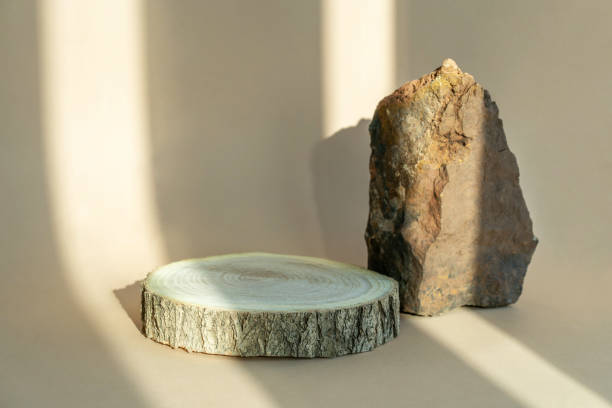 istock Composition empty podium material tree stone dry flowers. Product presentation.Beauty cosmetic natural showcase. Beautiful background from natural materials. 1444240526