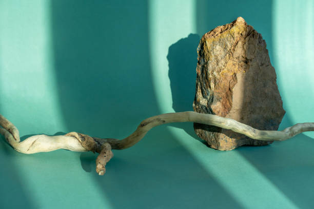istock Composition empty podium material tree and stone. Product presentation. Background beige green. Beautiful background from natural materials. 1444240533