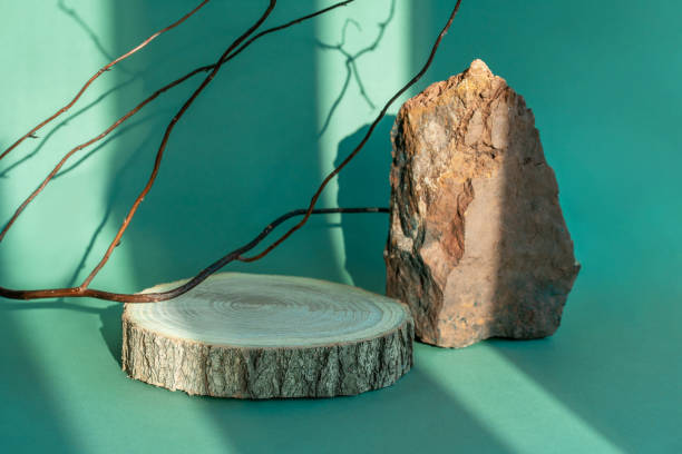 istock Composition empty podium material tree and stone. Product presentation. Background beige green. Beautiful background from natural materials. 1444240534