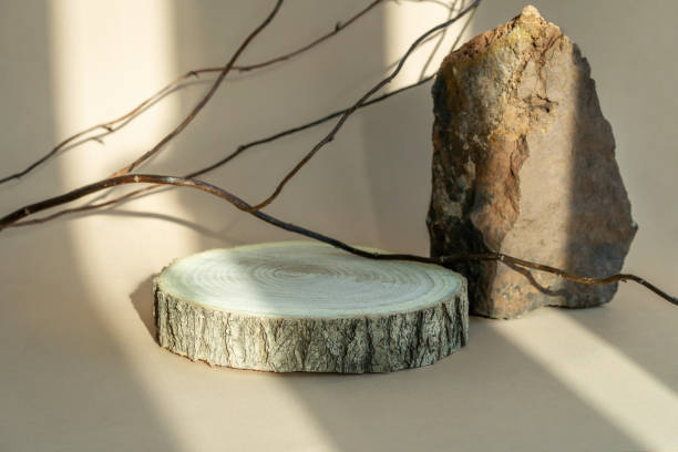 istock Composition empty podium material tree stone dry flowers. Product presentation.Beauty cosmetic natural showcase. Beautiful background from natural materials. 1444240539