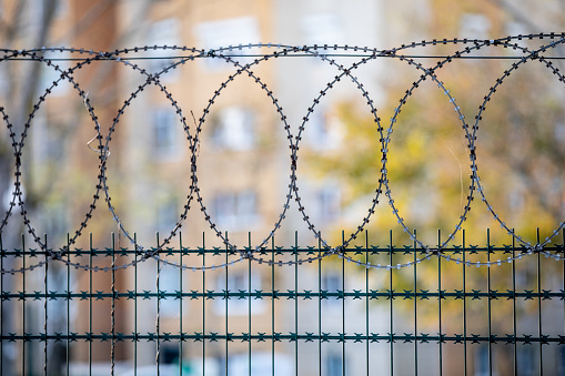 Protective Barb Wire