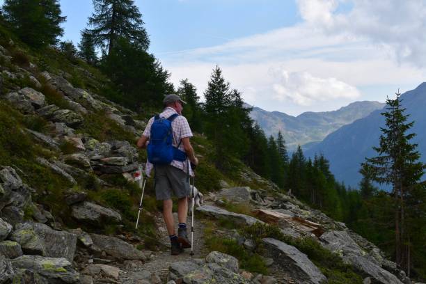 istock Man hiking at Ulten Valley in Southtyrol 1444242540