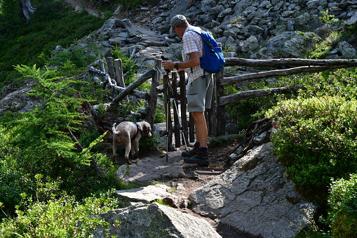 Mann und sein Lagotto Romagnolo Hund wandern im Ultental in Südtirol