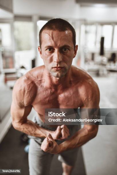 Male Bodybuilder Showing Muscular Build Progress In Gym Stock Photo - Download Image Now