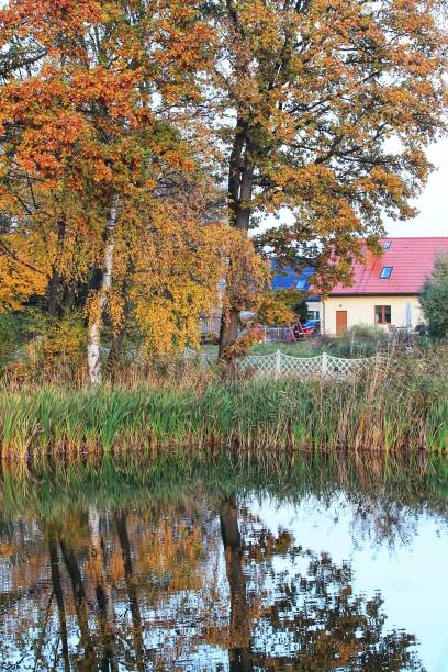 istock Beautiful park in Tuchom Poland 1444245574