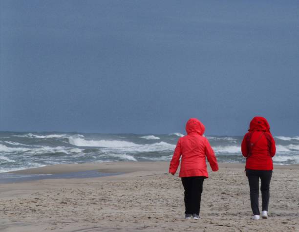 istock People walking on the beach. 1444248784