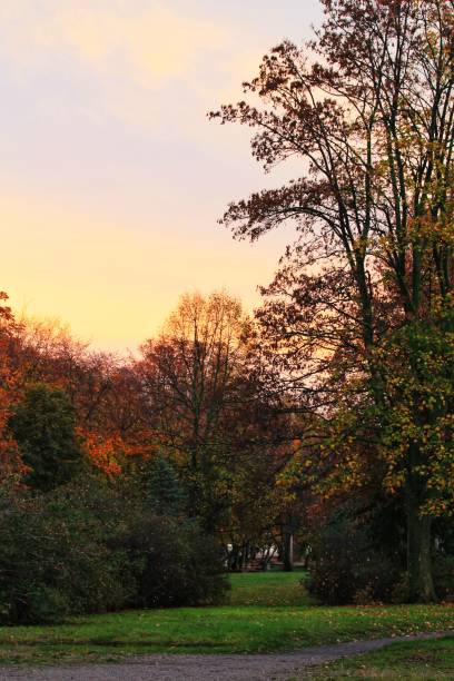 istock Beautiful park in Tuchom Poland 1444248827