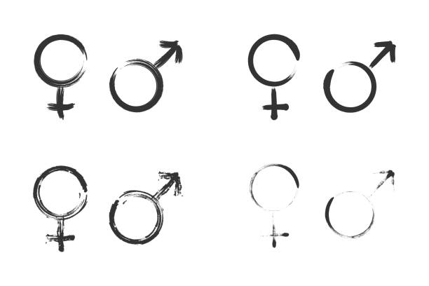 Hand drawn gender icon set. Grunge gender symbol icons. Vector illustration. Hand drawn gender icon set. Grunge gender symbol icons. Vector illustration female gender symbol stock illustrations