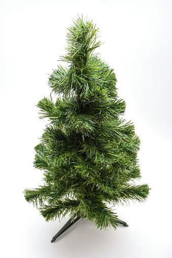 Pine tree. Christmas tree on the white background