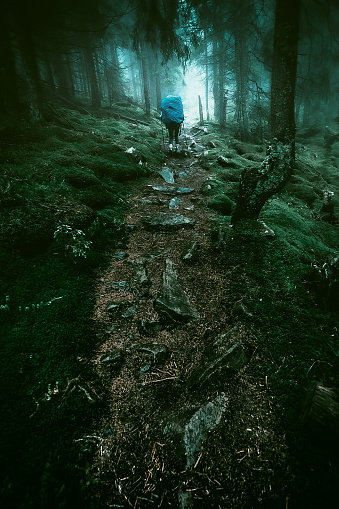 Rocky trekking in mystical misty forest, horror.