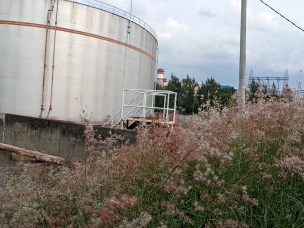 fiore selvatico come cornice davanti al serbatoio dell'acqua sulla centrale elettrica di semarang. - buffer storage foto e immagini stock