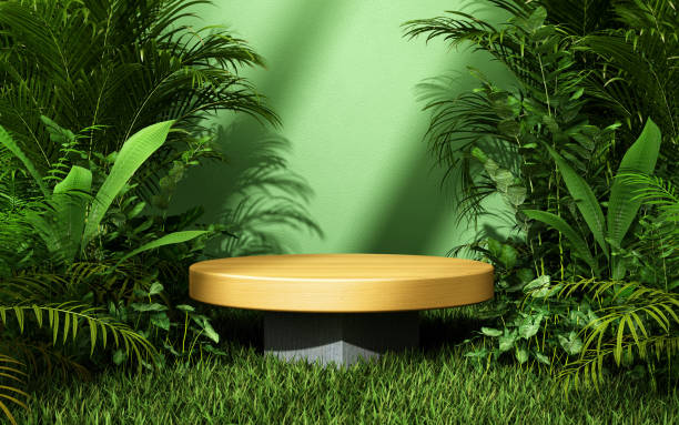 istock 3d Render Empty Wood Podium in tropical forest for product presentation and green background stock photo 1444273043